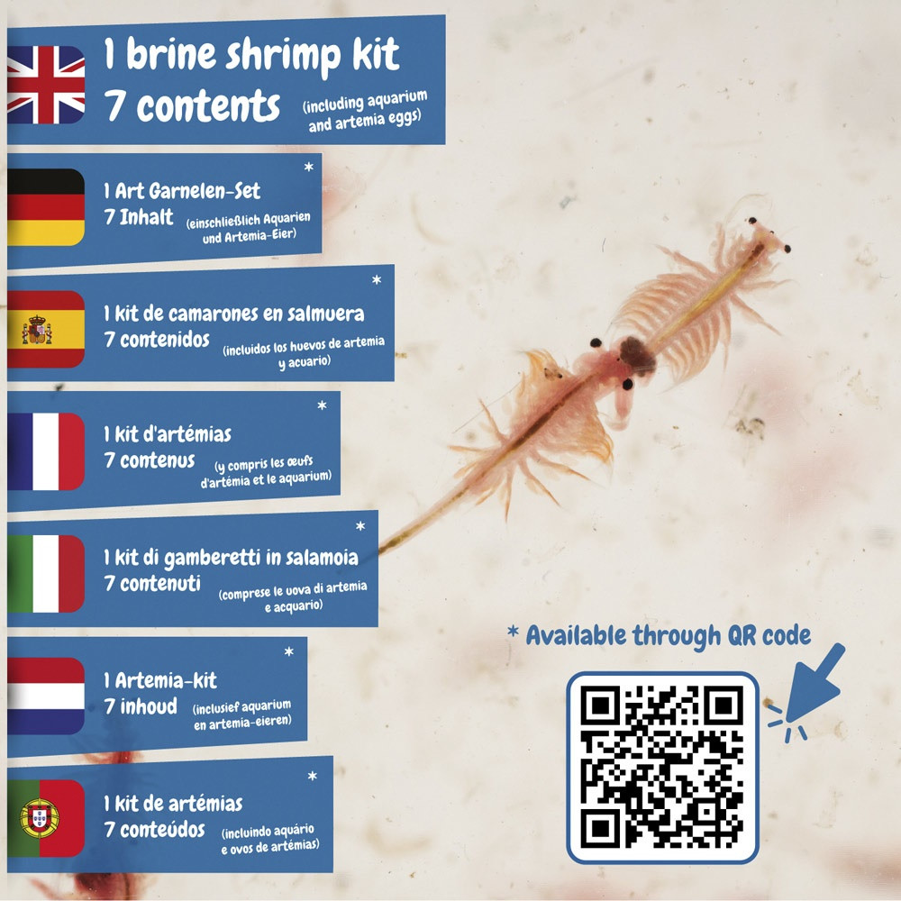 Jurassic Pets Kit I. Εκπαιδευτικό παιχνίδι για παιδιά
