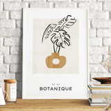 Botanique Collection No. 79