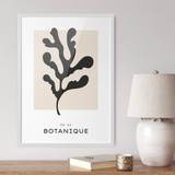 Botanique Collection, Line Art No. 06