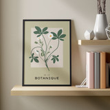 Botanique Collection No. 06