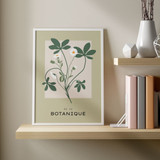 Botanique Collection No. 06