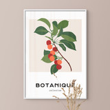 Botanique Collection, Branch of Cherries