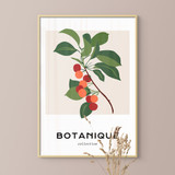 Botanique Collection, Branch of Cherries