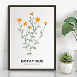 Botanique, Nature is The Art in Itself