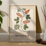 Botanique Collection, No. 06