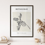 Botanique, Line Art, Paris No. 31