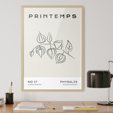 Printemps, Physalis No. 17