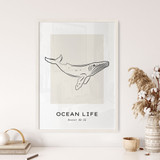 Ocean Life, Fin Whale