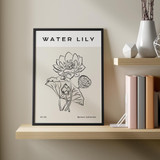 Water Lily, Botanic Collection No. 09