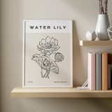 Water Lily, Botanic Collection No. 09