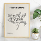Printemps, Minimalist Drawing Collection No. 40