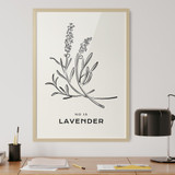 Line Art, Lavender No. 15