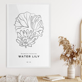 Water Lily, Minimalist Collection No. 08