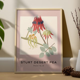 Tropical Collection, Sturt Desert Pea