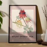 Tropical Collection, Sturt Desert Pea