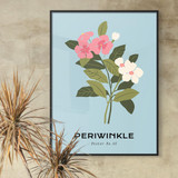 Tropical Collection, Periwinkle
