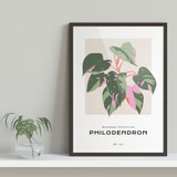 Botanique Collection, Philodendron