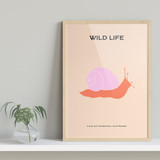 Wild Life, Pink Snail