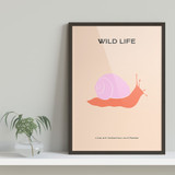 Wild Life, Pink Snail