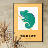 Wild Life, Tropical Lizard