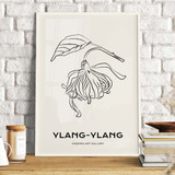 Ylang - Ylang, Modern Art Gallery