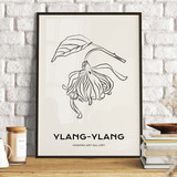 Ylang - Ylang, Modern Art Gallery