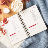 Ατζέντα Σπιράλ The Creation of Adam