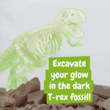 Fossil Excavation Kit I. Εκπαιδευτικό παιχνίδι για παιδιά