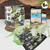 2 in 1 Fossil Excavation Kit I. Εκπαιδευτικό παιχνίδι για παιδιά