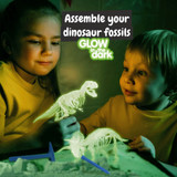 2 in 1 Fossil Excavation Kit I. Εκπαιδευτικό παιχνίδι για παιδιά