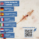 Jurassic Pets Kit I. Εκπαιδευτικό παιχνίδι για παιδιά