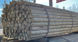 Treated Fence Post 4.25 x 7' Doweled Bundle (95pc)
