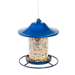 Feeder Sparkle Panorama Lantern