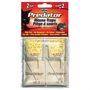Wood Cheese Mouse Trap 4/PK