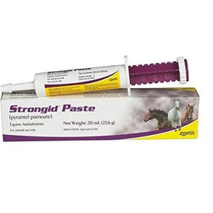 Strongid Paste Dewormer 23.6 Grams