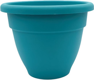 Caribbean Planter 12"