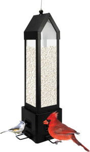 Squirrel Shield Choice Lantern Metal Feeder