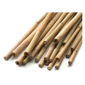 Natural 4' Bamboo Canes