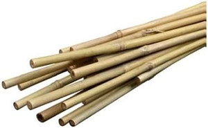Natural Bamboo Stakes 6'