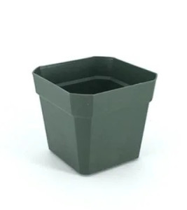 Pot Square 4" Green
