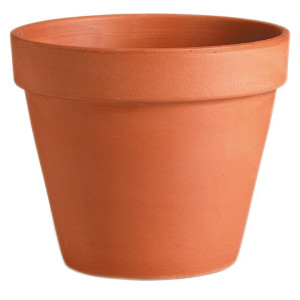 Clay Pot 11cm
