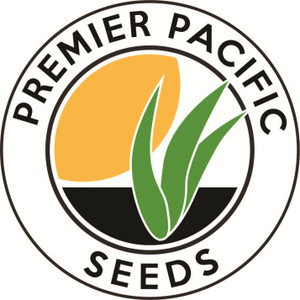 Smooth Bromegrass pasture Seed