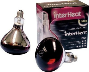 Heat Lamp Bulb175W - 2pk Red