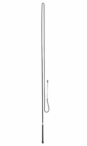 Lunge Whip 72"
