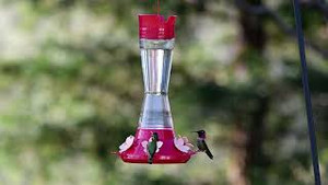 Hummingbird Feeder Top Fill Pinch Waist