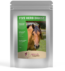 Rivas Equine Five Herb Digestion 500 Gram