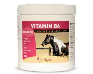Rivas Equine Vitamin B6 100 Grams