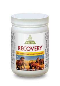 Purica Equine Recovery XStrength Powder 1Kg