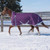 Maxim Turnout 300G Winter Horse Blanket Assorted Colours