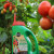 MG Shake'n Feed Tomato Fruits & Veg 4.5 Lb